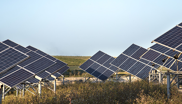 Instalación de paneles solares en campo abierto gracias a Led Solar.