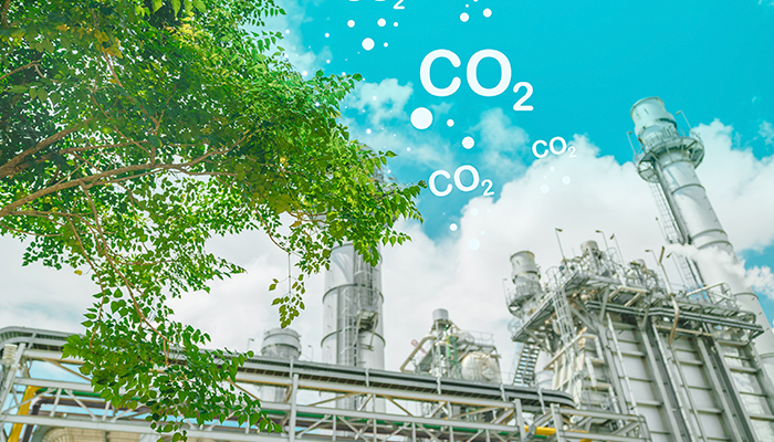 ¿Cómo reducir la huella de carbono y cuidar el planeta?