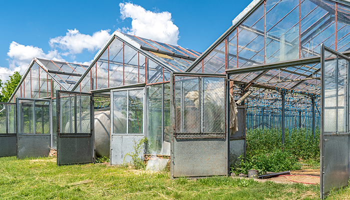 Paneles solares para invernaderos: eficiencia energética y productividad agrícola