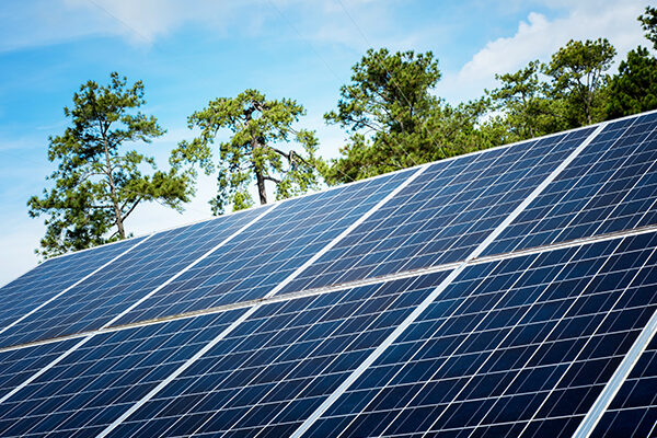 es rentable instalar paneles solares