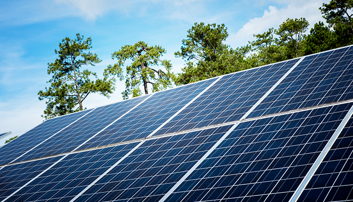 es rentable instalar paneles solares