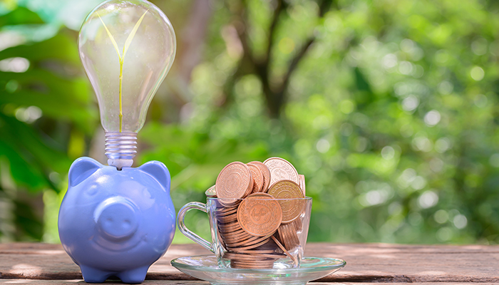 ¿Qué es el ahorro energético y cómo se logra?