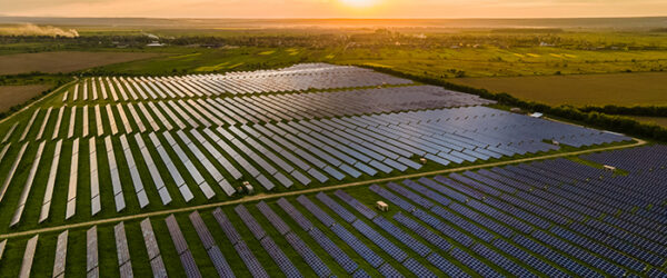 Granja solar