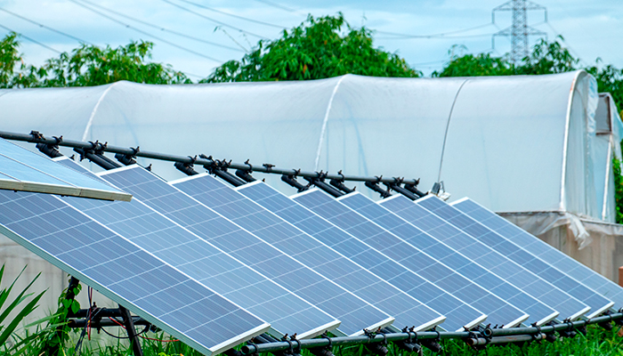 Descubre que son los paneles solares para invernaderos