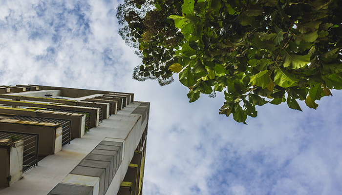 Edificio que utiliza energía solar color blanco, frente a un arbol. 