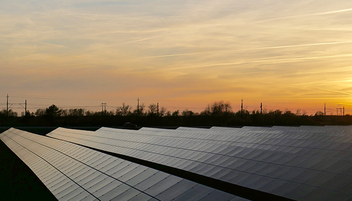 Fotografía de paneles solares en el horizonte con un atardecer. 