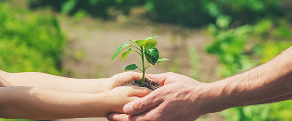 acciones sustentables para cuidar el medio ambiente