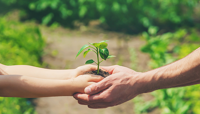 acciones sustentables para cuidar el medio ambiente