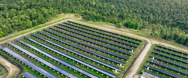 huerto solar