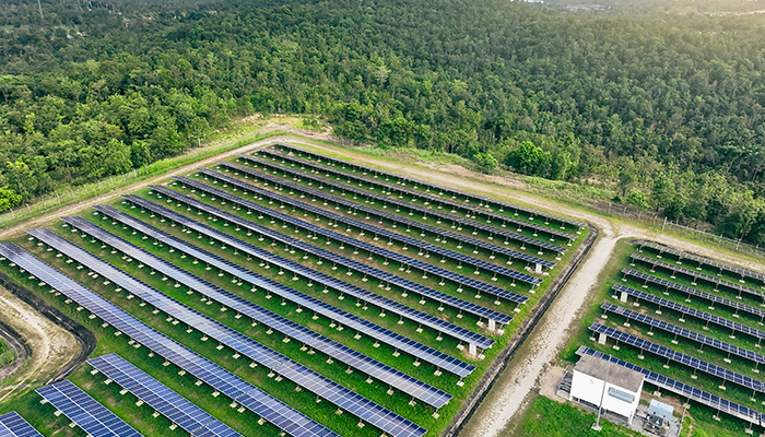 huerto solar