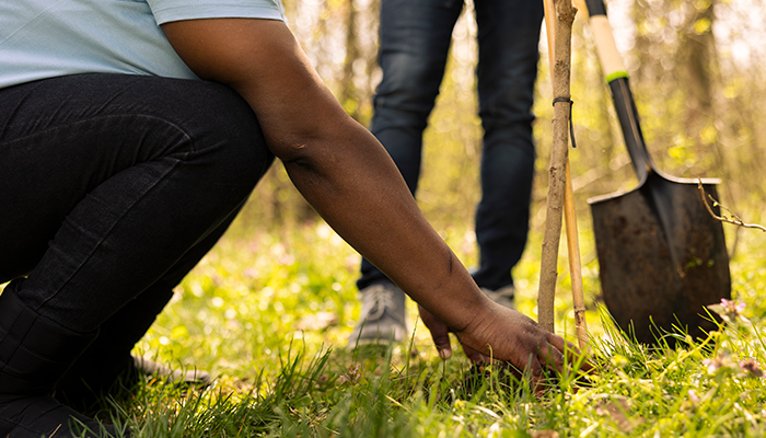 Personas plantando un huerto 