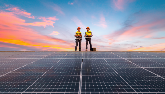 Especialistas para paneles solares